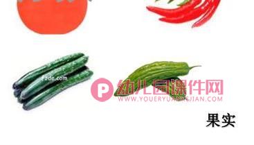 大班科学优质课课件PPT《吃植物的哪部分》PPT课件图片