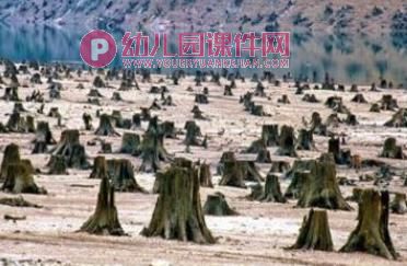大班科学活动课件PPT《地球的模样》PPT课件图片