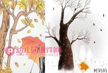 大班科学课件PPT《树叶宝宝回家了》PPT课件图片