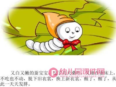大班科学优质课课件PPT《蚕宝宝的一生》PPT课件图片