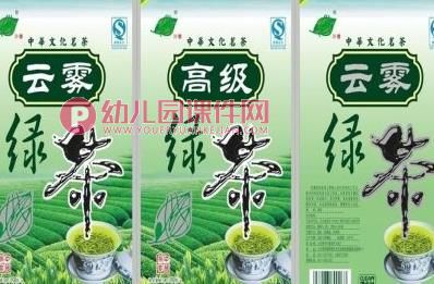 大班科学活动课件PPT《不一样的它们》PPT课件图片