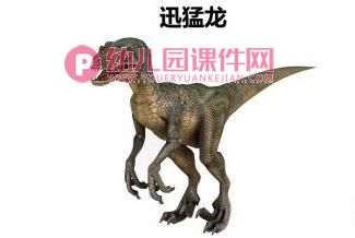 大班科学课件PPT《恐龙为什么不见了》PPT课件图片