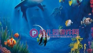 大班科学课件PPT《有趣的海洋动物》PPT课件图片
