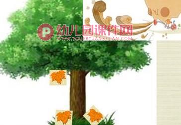 大班科学课件PPT《树叶宝宝回家了》PPT课件图片