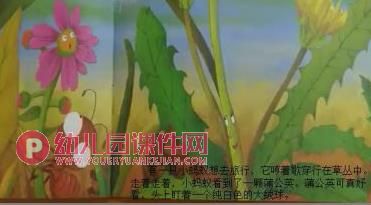 大班科学优质课课件PPT《种子的旅行》PPT课件图片
