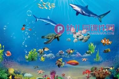 大班科学课件PPT《有趣的海洋动物》PPT课件图片