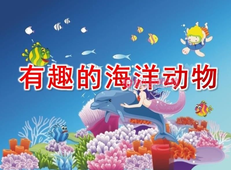 大班科学课件PPT《有趣的海洋动物》PPT课件图片