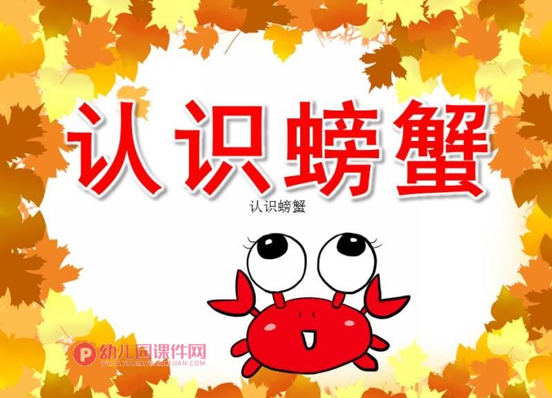 大班科学课件PPT《认识螃蟹》PPT课件图片