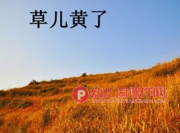 大班科学课件PPT《秋天的色彩》PPT课件图片