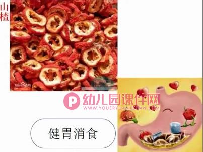 大班科学公开课课件PPT《神奇的中草药》PPT课件图片