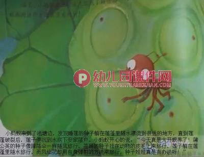 大班科学优质课课件PPT《种子的旅行》PPT课件图片