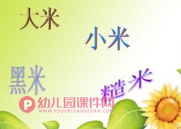 大班科学活动课件PPT《多种多样的米》PPT课件图片