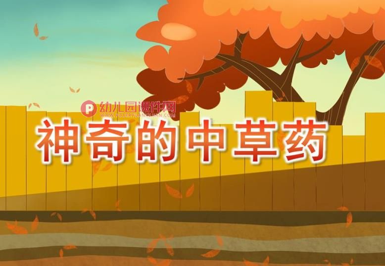 大班科学公开课课件PPT《神奇的中草药》PPT课件图片