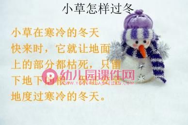 大班科学课件PPT《植物过冬》PPT课件图片