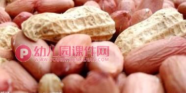 大班科学课件PPT《秋天的色彩》PPT课件图片