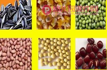 大班科学优质课课件PPT《种子的旅行》PPT课件图片