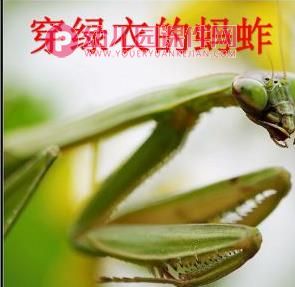 大班科学课件PPT《秋天的色彩》PPT课件图片