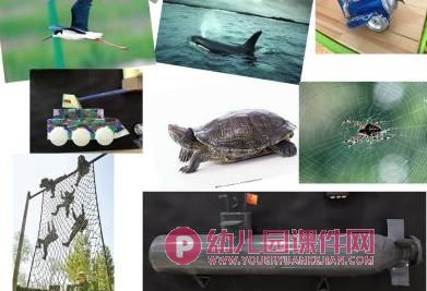 大班科学课件PPT《奇妙的仿生》PPT课件图片