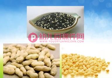 大班科学课件PPT《有趣的油和水》PPT课件图片