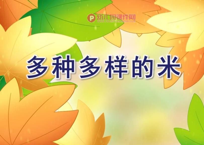 大班科学活动课件PPT《多种多样的米》PPT课件图片