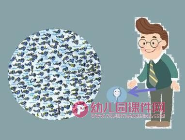 大班科学公开课课件PPT《我从哪里来》PPT课件视频图片