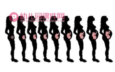 大班科学公开课课件PPT《我从哪里来》PPT课件视频图片