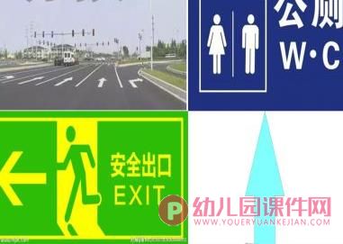 大班科学活动课件PPT《不一样的它们》PPT课件图片