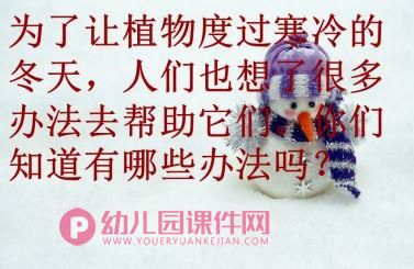 大班科学课件PPT《植物过冬》PPT课件图片