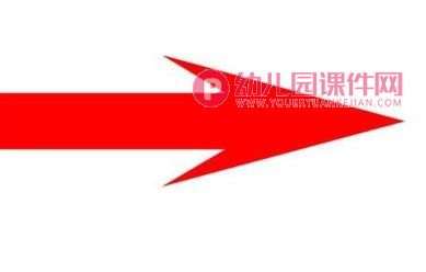 大班科学活动课件PPT《不一样的它们》PPT课件图片