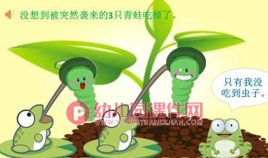 大班科学课件PPT《禾苗的秘密》PPT课件图片