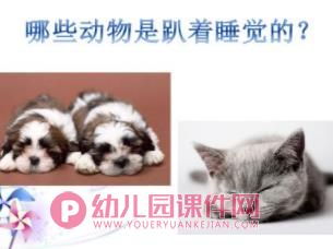 大班科学课件PPT《动物是怎么睡觉的？》PPT课件图片