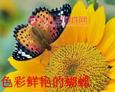 大班科学课件PPT《秋天的色彩》PPT课件图片