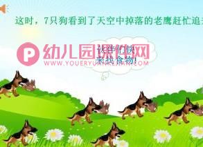 大班科学课件PPT《禾苗的秘密》PPT课件图片