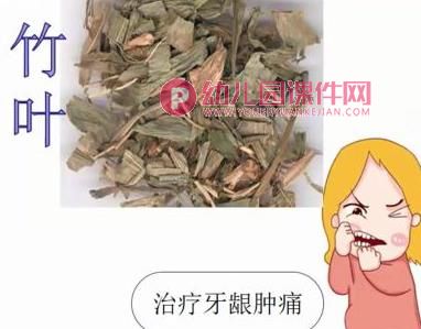 大班科学公开课课件PPT《神奇的中草药》PPT课件图片