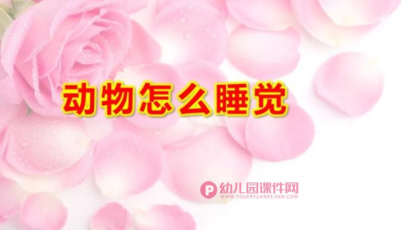 大班科学课件PPT《动物怎么睡觉》PPT课件图片