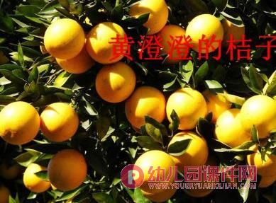 大班科学课件PPT《秋天的色彩》PPT课件图片
