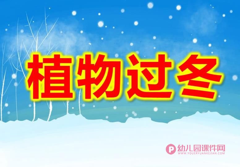 大班科学课件PPT《植物过冬》PPT课件图片