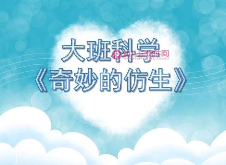 大班科学课件PPT《奇妙的仿生》PPT课件图片