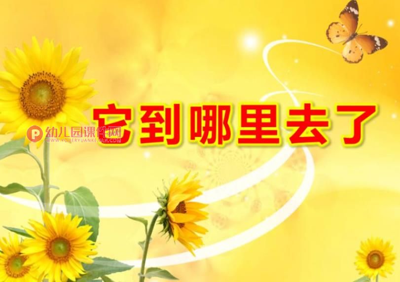 大班科学课件PPT《它到哪里去了》PPT课件图片