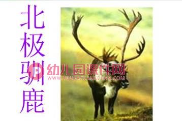 大班科学课件PPT《地球仪上的中国》PPT课件图片