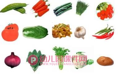 大班科学优质课课件PPT《吃植物的哪部分》PPT课件图片