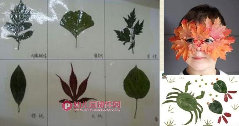 大班科学课件PPT《树叶宝宝回家了》PPT课件图片