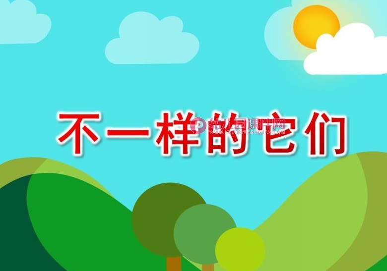 大班科学活动课件PPT《不一样的它们》PPT课件图片