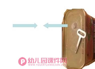 大班科学活动课件PPT《不一样的它们》PPT课件图片