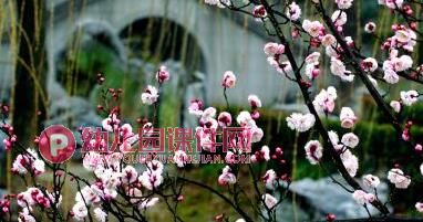 大班美术课件PPT《春雨》PPT课件图片