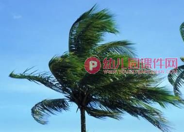 大班美术课件PPT《风中的树》PPT课件图片