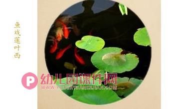 大班美术课件PPT《鱼戏莲叶间》PPT课件图片