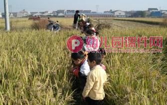 大班美术活动课件PPT《拾穗者》PPT课件图片
