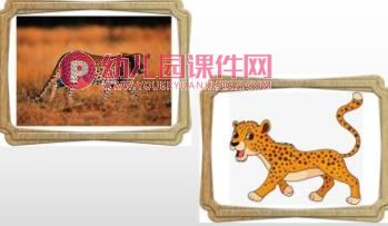 大班美术课件PPT《找动物》PPT课件图片