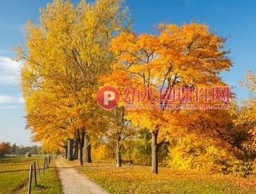 大班美术活动课件PPT《多彩的秋天》PPT课件图片